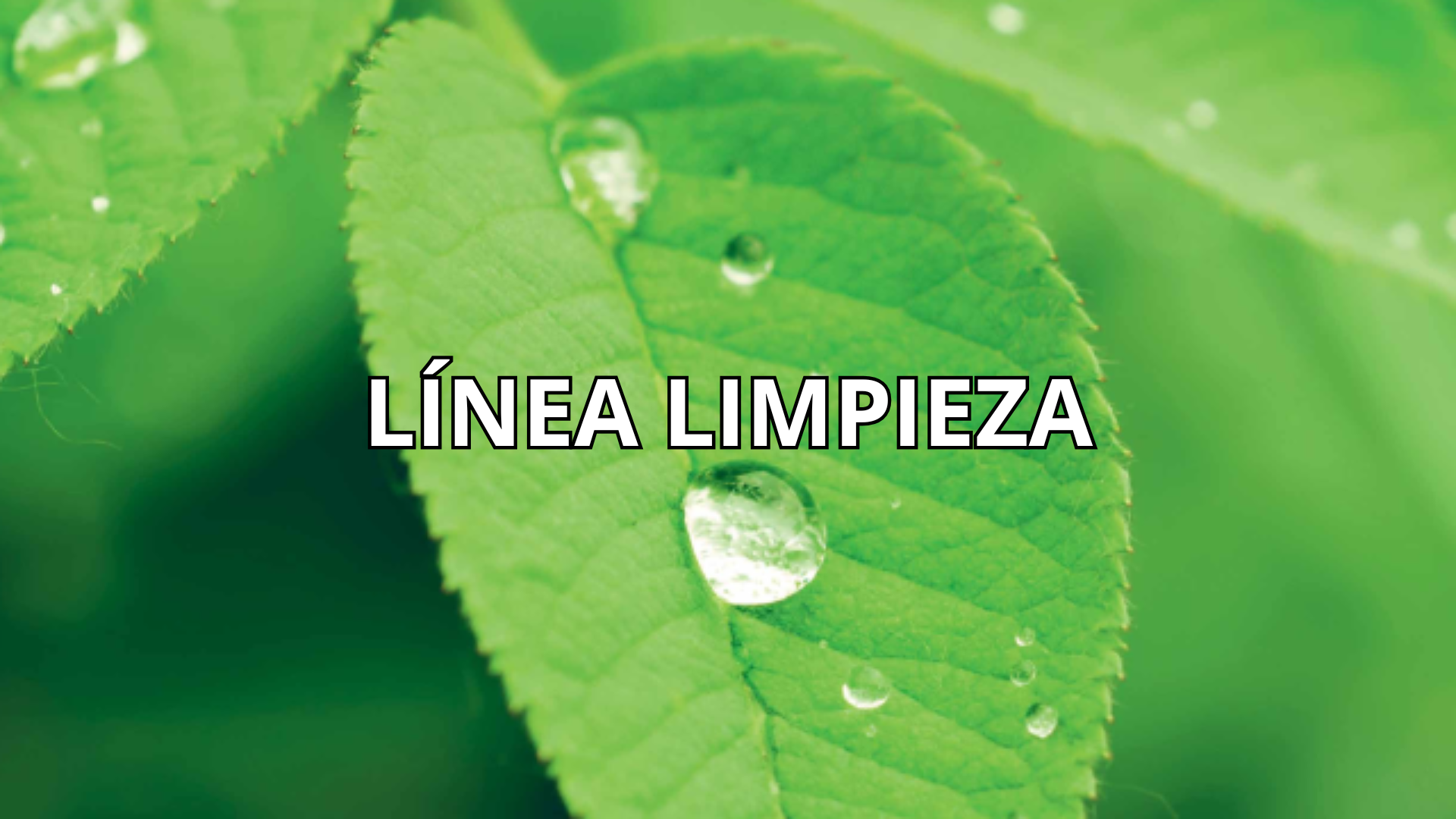 linea limpieza3