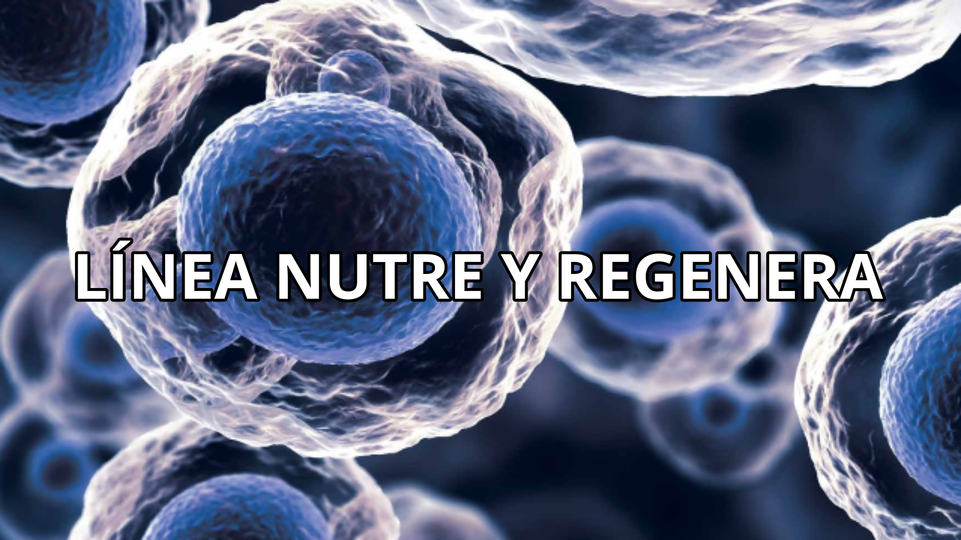 linea nutre y regenera 3